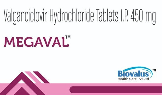 whatsapp image 2025 08 25 at 11.14